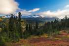 Autumn hues with the Tatoosh Range in Mount Rainier National Park, Washington State, USA Art Print
